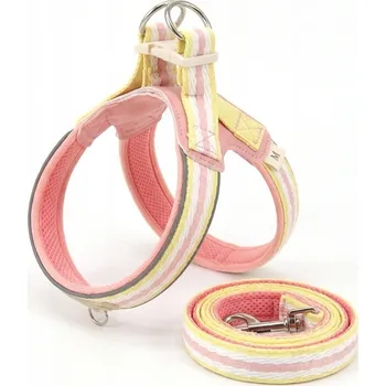 Postroj pro psa Sada Y-postroj s vodítkem pro malé psy, reflexní, růžová, vel. M