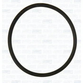 Chladič motoru Těsnění, vodní čerpadlo AJUSA 16507600