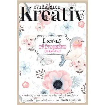 Osobní rozvoj Kreativ: Luxus přítomného okamžiku - Vltava Labe Media (2017, brožovaná)