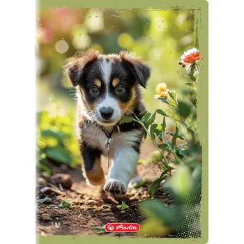 Hladký sešit A5 Herlitz, 16 listů