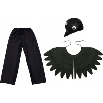 Karnevalový kostým KOSTÝM HAVRAN VRÁNA PTÁK PLÁŠTĚNKA ČEPICE 98-110