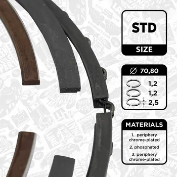 Píst motoru Sada pístních kroužků, R1001800