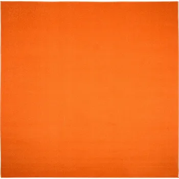 Koberec Koberec MONO 200x200 Jednobarevný Hladký Moderní v8