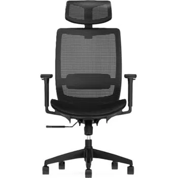 Ergonomická kancelářská židle BS4B, ze síťoviny s bederní opěrkou, černá - A FLEXISPOT