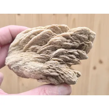 Sběratelství Pouštní růže přírodní surová Maroko 381g