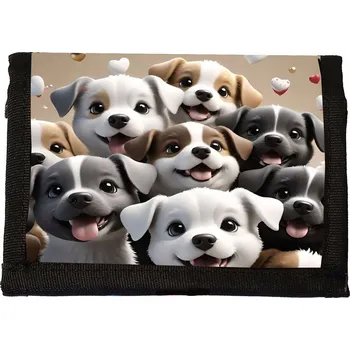 Peněženka Peněženka na suchý zip a5