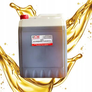 Příslušenství ke kompresoru Olej Shell Corena S2 P100 pro pístové kompresory