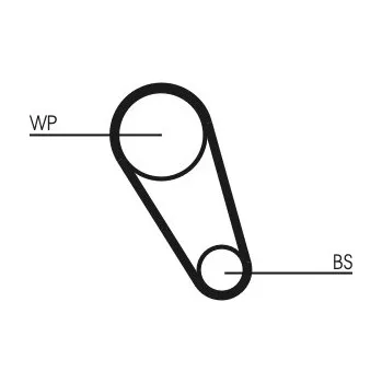 Vodní pumpa motoru Sada rozvodů - řemen s kladkami a vodní pumpa CONTITECH CT1185WP5