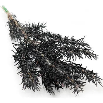 mech-mech.cz Stabilizovaný Rozmarýn - Rosmarinus - zelený