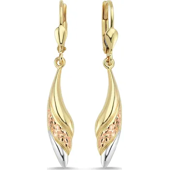 Náušnice Lillian Vassago Visací náušnice z kombinovaného zlata LLV46-GER076