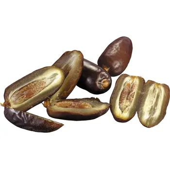 Potravina Datle BIO Deglet Nour industrial 5 kg