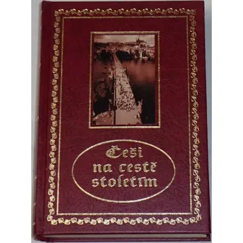 Cílek, Kvaček, Moulis, Richter - Češi na cestě stoletím