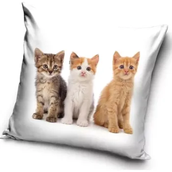 Dekorativní polštářek Carbotex Sametový polštářek Kočičí Mňau Tým 40 x 40 cm