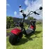 Elektrokoloběžka Leramotors Scooters C1 1500 W 