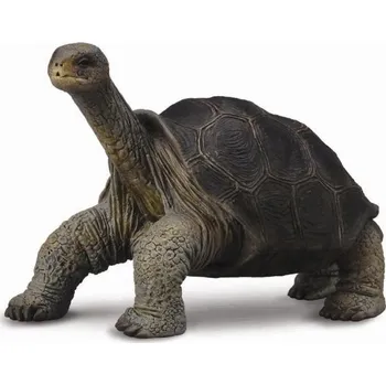 Figurka Želva sloní z ostrova Pinta Zvířátka FIGURKY COLLECTA Hračky KREATIVNÍ pro Děti