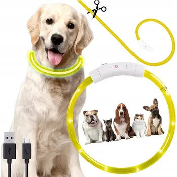 Obojek pro psa Silikonový svítící obojek pro psa OBROŻA ŚWIECĄCA LED DLA PSA REGULOWANA USB SHOPII, univerzální velikost
