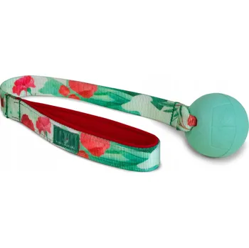 Hračka pro psa Přetahovadlo pro psa PositiveCare 5904100476510