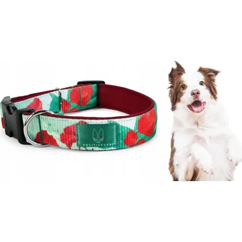 Obojek pro psa Materiálový obojek pro psa PositiveCare, velikost S