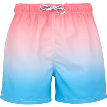 Pánské kraťasy Pánské batikované plavecké šortky Dino - SAM 73, XL i646_3300213