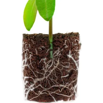 Substrát Root!t Dry Peat Free Plug Refill Bag bez sadbovače, 60 ks