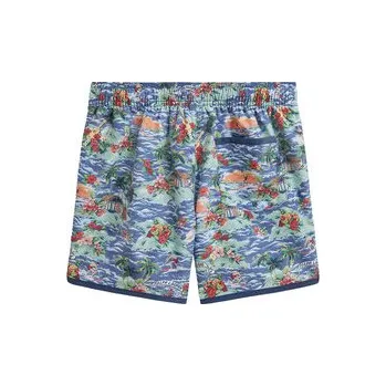 Pánské plavky Polo Ralph Lauren Plavecké šortky 323A13036001 Barevná Regular Fit L