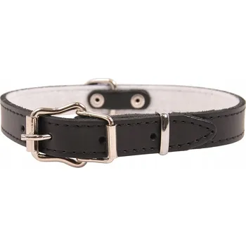 Obojek pro psa Kožený obojek pro psa s gravírováním Dino vel. M