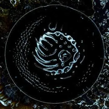 Zahraniční hudba CD Stonus: Stonus 2026