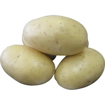 Semeno Brambory DALI 10 kg