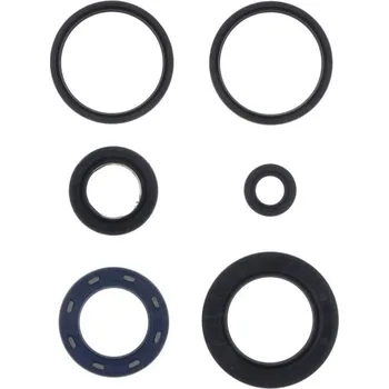 Centauro Gufera motoru sada Kymco 250-300 666A299SR