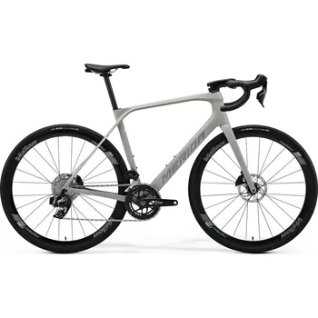Jízdní kolo MERIDA Scultura Endurance RIVAL EDITION Silk Grey (Blue) - M