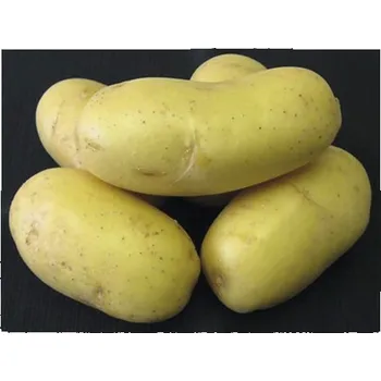 Semeno Brambory Sunshine 10 kg