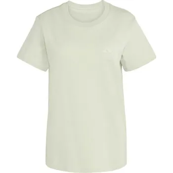 Dámské tričko Dámské tričko adidas TERREX GRAPHIC TEE W L Světle zelená