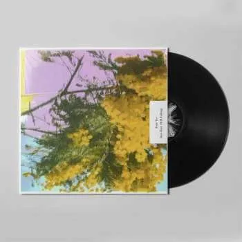 Zahraniční hudba LP Four Tet: Into Dust (Still Falling) 2025 Still Falling Vinyl