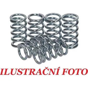 Spojka Pružiny spojky sada TRW Lucas MEF115-6