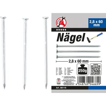 Hřebík Hřebíky, 250 g, 2.8 x 60 mm - BGS 88118