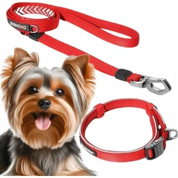 Obojek pro psa Reflexní set: obojek 18 - 29 cm (XS) + vodítko se dvěma úchyty (XS/S) DOGNESS