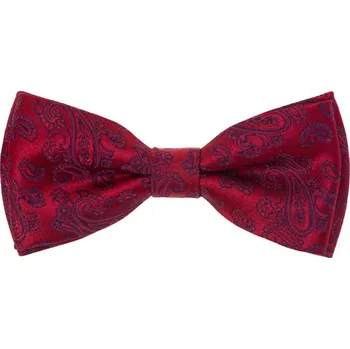 Motýlek Motýlek Avantgard s kapesníčkem - červený 575-22420-0