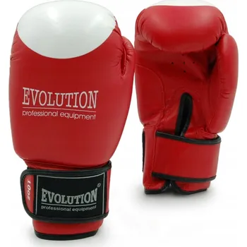 Boxerské rukavice BOXERSKÉ RUKAVICE EVOLUTION PRAVÁ KŮŽE 10 OZ