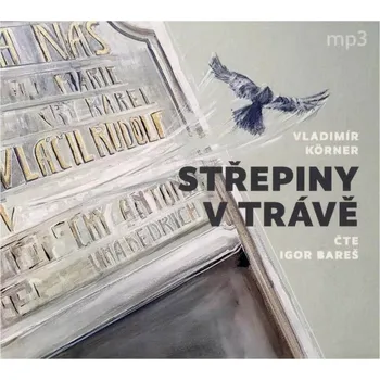 Střepiny v trávě (Körner), Igor Bareš (MP3-CD) - audiokniha