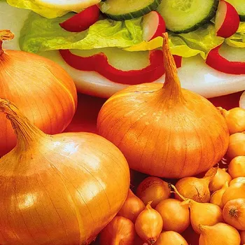 Semeno CIBULE SAZEČKA - ŠTUTTGARTSKÁ 600 g / Allium cepa L.