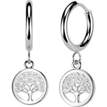 Náušnice Steel Edge Náušnice z chirurgické oceli SESE5135 Barva: Steel