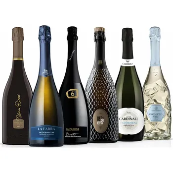 Víno WNHS Sommelier Best of Prosecco Valdobbiadene DOCG, 6x0,75l