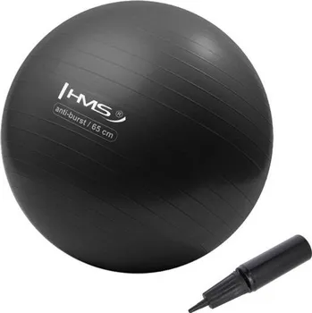Gymnastický míč HMS Gymnastický míč YB02N 65 cm černý