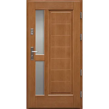 Vchodové dveře ArchoD Venkovní vchodové dřevěné dveře Deskové Olia