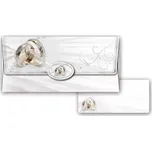 Obálka na peníze svatební prstýnky