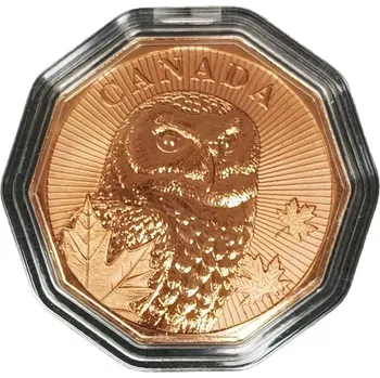 Měděná mince Sněžná sova 1 oz