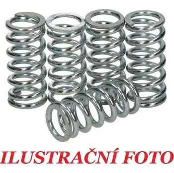 Spojka Pružiny spojky sada TRW Lucas MEF120-5