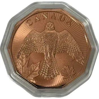 Měděná mince Gyrfalcon 1 oz – Strážci severu