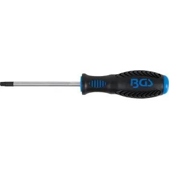Šroubovák Šroubovák T-profil T30 x 100 mm,1/4" vnitřní čtyřhran – BGS 4922