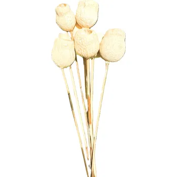 Gumbell branch on reed blanched 50 ks - hodí se do květinových kompozic